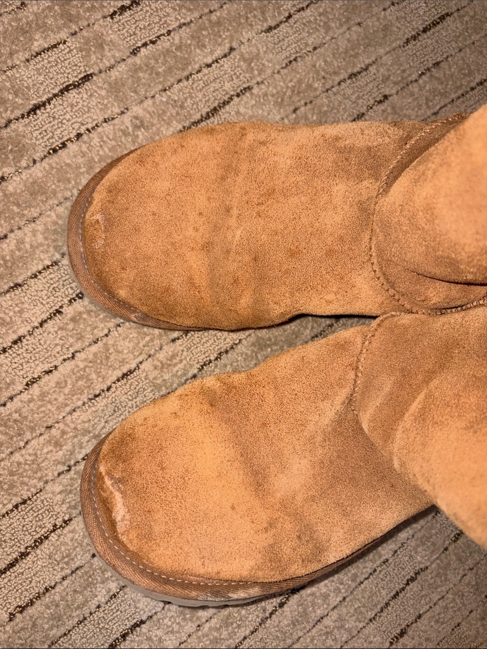 Ugg Classic Suede Tall Boots in Chestnut - Picture 6 of 8